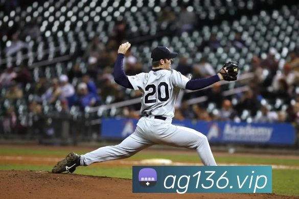 App Interface Preview