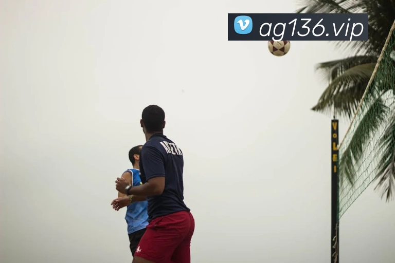 ag官网APP 封面图